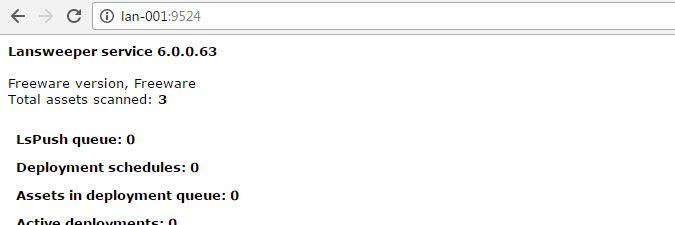 viewing-the-scanning-queue-under-port-9524-or-a-custom-port-4.jpg