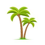 palmtree.jpg