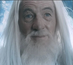 Profile (white-wizard)