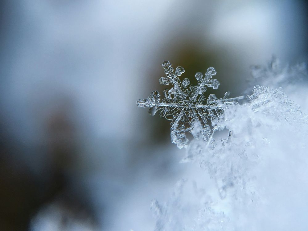 Snowflake photo