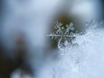 Snowflake photo