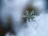 Snowflake photo