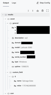 asset with no custom fields null values.png