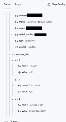 asset with custom field null values.png