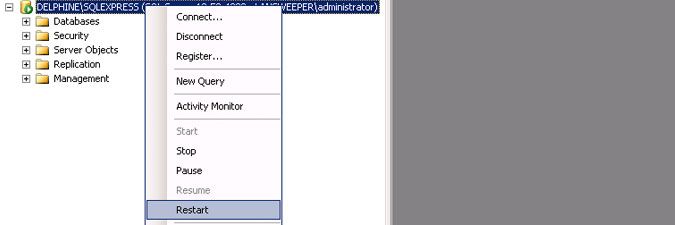 procedure-restarting-sql-instance.jpg