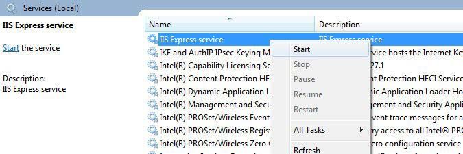 procedure-starting-the-web-server-service.jpg procedure-starting-the-web-server-service.jpg