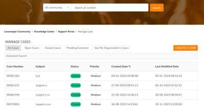 Preview image of case portal